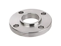 Ti Alloy Slip on Flanges