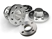 Titanium Flanges
