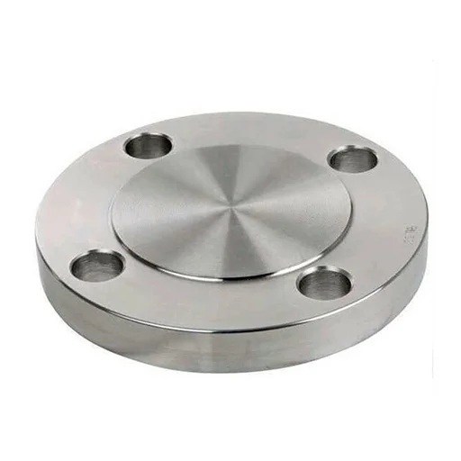 Ti Alloy Gr 2 Blind Flange